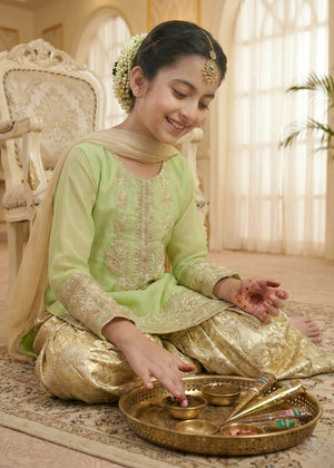 Festive Green Zari Work Suit
