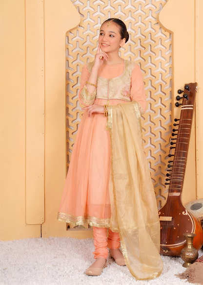 Chiffone Peach Embroidered Suit