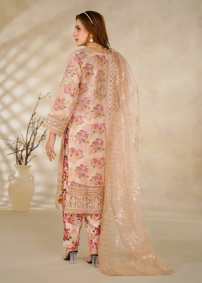 Cira Embroidered Organza 3 pcs Suit
