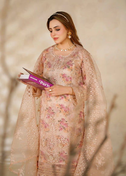 Cira Embroidered Organza 3 pcs Suit