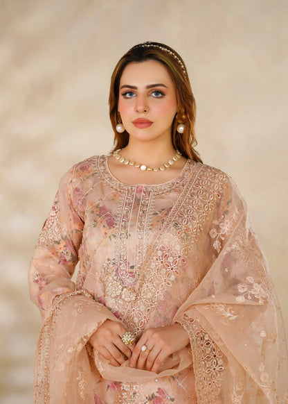 Cira Embroidered Organza 3 pcs Suit