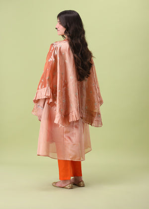 Apricot Allure