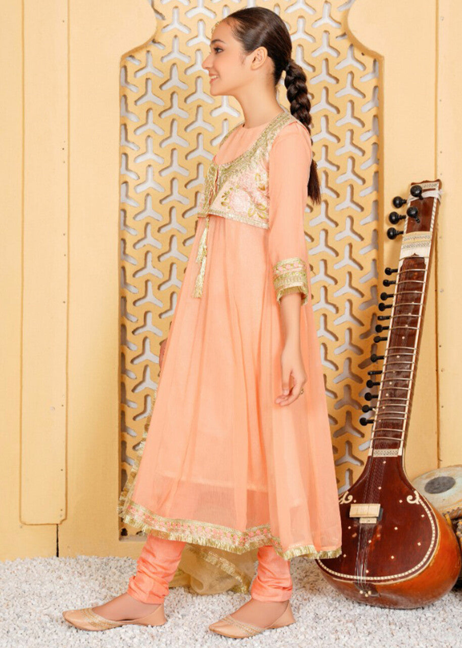 Chiffone Peach Embroidered Suit