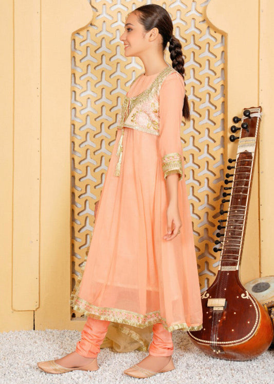 Chiffone Peach Embroidered Suit