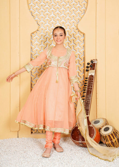 Chiffone Peach Embroidered Suit