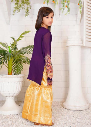 Ethnic Embroidered Set